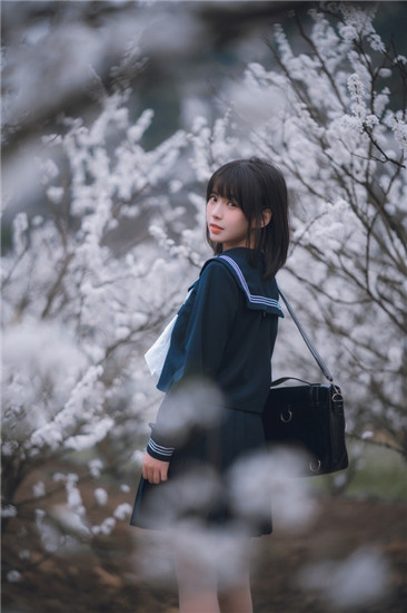 野花在线观看免费观看手机ios版