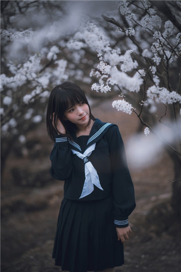 野花在线观看免费观看手机ios版最新版