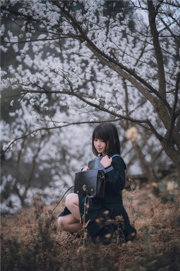 野花在线观看免费观看手机ios版下载