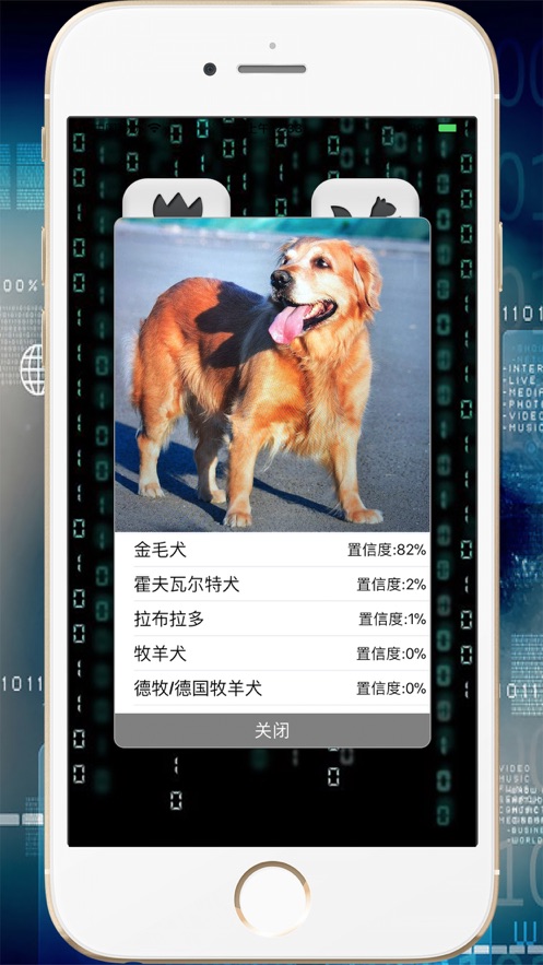 慧眼识图app2021新版免费版本