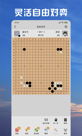 星阵围棋免费版本